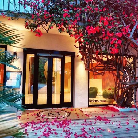Hotel Le Mistral بورتو فيكشْيو المظهر الخارجي الصورة