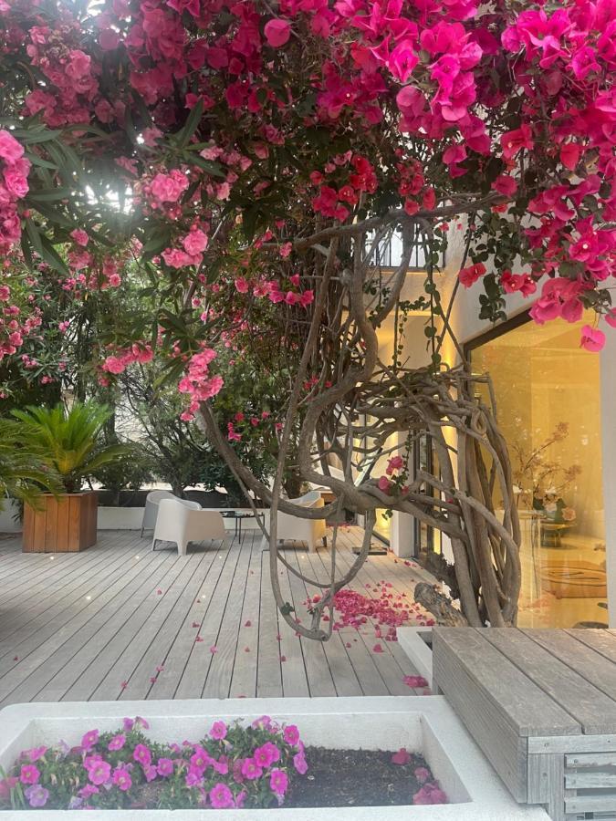 Hotel Le Mistral بورتو فيكشْيو المظهر الخارجي الصورة